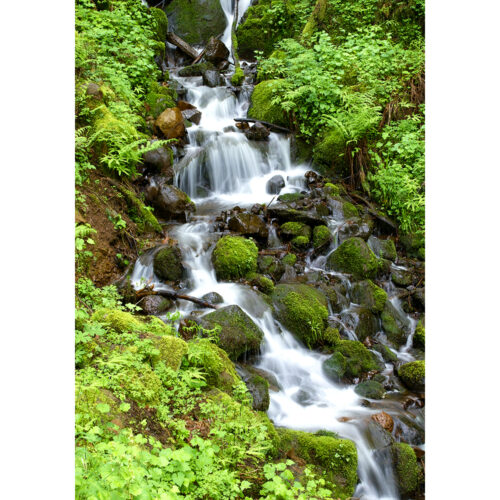 WATERFALL IN OREGON