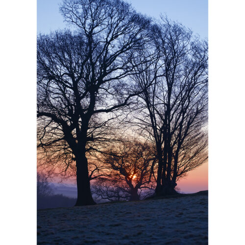 WINTER SUNRISE OVER ROMNEY MARSH