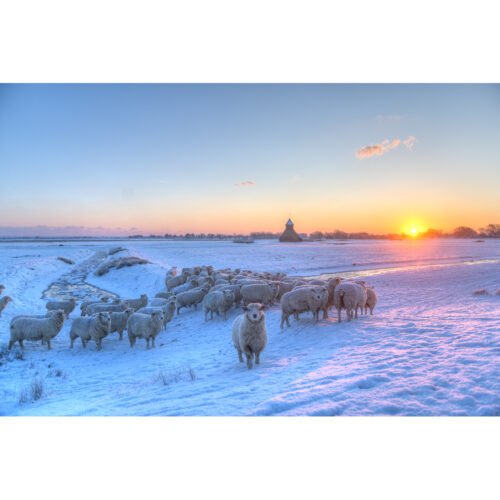 WINTER'S MORNING FAIRFIELD CHURCH