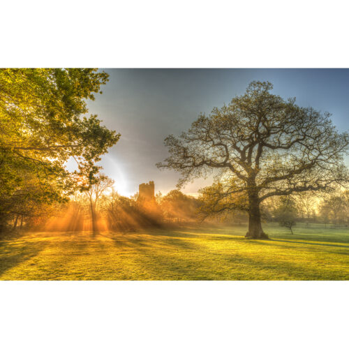 SUNBURST IDEN FIELDS