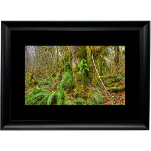 DEEP IN THE FOREST 2