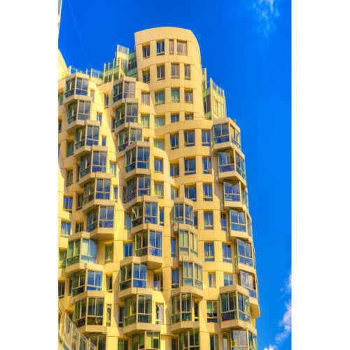 GEHRY IN LONDON 5